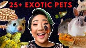 MEET ALL MY EXOTIC PETS AND ANIMALS 2019! // 25+ Amazing Creatures (I have an exotic zoo!)