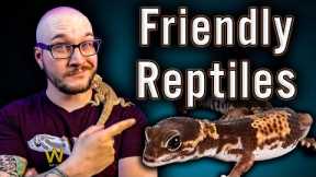 Top 5 Friendliest Reptiles | No Biting, No Scratching, All Love