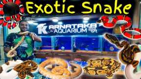 Exotic Snake Pets In India | Ball Python , Milk Snake , Corn Snake At Karnataka Aquarium