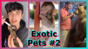 Exotic Pets | TikTok Compilation [Part 2]