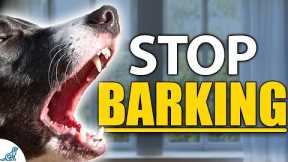 STOP Your Dog From Barking Indoors - Complete Guide