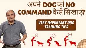 How to Teach 'NO Command' to your Dog | Exclusive Dog Training Tips | Baadal Bhandaari