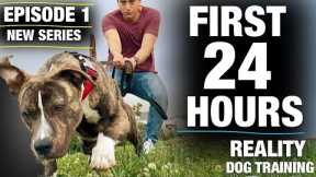 **NEW SERIES!**The FIRST 24 HOURS with a TOTALLY UNTRAINED Pit Bull [Reality Dog Training Episode 1]