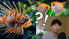 What if Fresh and Salt Water Fish IN THE SAME TANK?! | Fish Tank Review 53