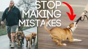 Dog Training Mistakes You Must Avoid Walking Your Dog