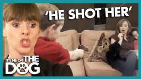 Kid Terrorises Dog Shooting It with Toy Gun | It's Me or The Dog