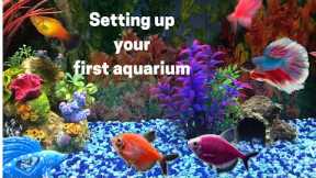 Beginners First Aquarium - How to Set up Your First Fish Tank