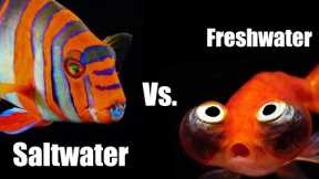 10 Reasons Why Saltwater is Better than Freshwater Aquariums