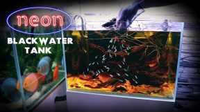 Aquascape Tutorial: NEON TETRA Blackwater Aquarium (How To: Step By Step Fish Tank Build Guide)