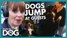 Dog Gets Out of Control When Around Guests | It's Me or The Dog
