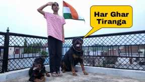 Har ghar tiranga by jerry and oggy | funny dog videos | the rott
