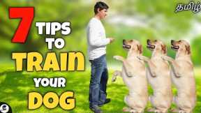 7 tips for training a dog | How to train | Basics | funny😂