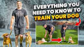 Everything You Need to Know to Train Your Dog.