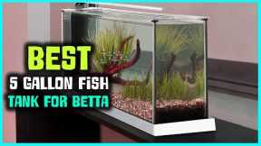 Top 5 Best 5-Gallon Fish Tanks for Betta [Review] - 5-Gallon Fish Tank With Filter [2022]