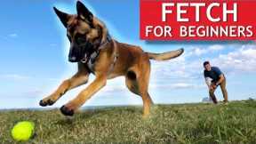 Train ANY Dog How To Play Fetch PERFECTLY