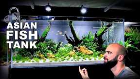 Aquascape Tutorial: EPIC 4ft Planted Asian Fish Aquarium (How To: Full Step By Step Guide)