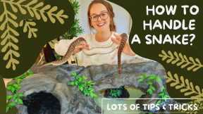How to Handle a Snake... Great for First Time Snake Owners!