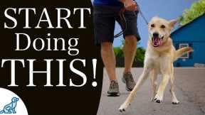 STOP Struggling With Traditional Leash Walking Training