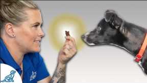 Before Using Treats In Your Dog Training... KNOW THIS!