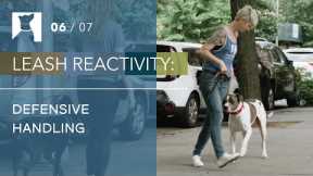 Dog Training Tips: 3 Defensive Handling Maneuvers for Leash Reactive Dogs (6/7)