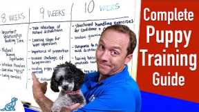 Your Complete Puppy Training Schedule By Age