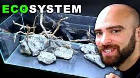 ECOSYSTEM AQUARIUM - NO WATER CHANGES | MD FISH TANKS
