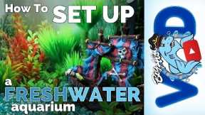 How to Set Up a Freshwater Aquarium | Big Al's
