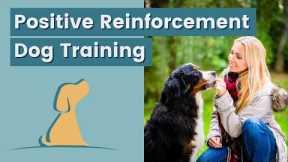 Dog Training Tips Using Positive Reinforcement
