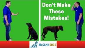 Teaching A Dog To Stay- 3 Common Mistakes - Professional Dog Training Tips