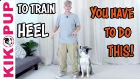 Train Your Dog To HEEL - BEGINNER TIP - Professional Dog Training