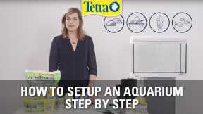 How to set up an aquarium | Fish tank setup step by step