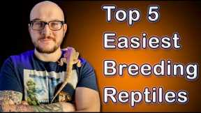 Top 5 EASIEST Reptiles To Breed | But You Probably Shouldn't...