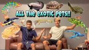 TOUR of ALL the EXOTIC PETS!!