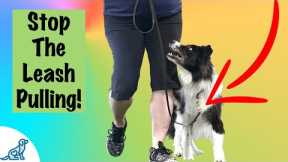 Loose Leash Walking Training - Professional Dog Training Tips