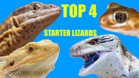 Top 4 Best Beginner Lizards