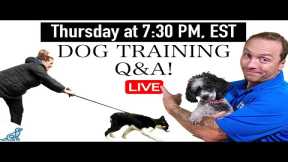 LIVE - Fix Your Leash Walking Problems - Dog Training Q&A