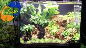 Best Ways To Maintain A Fish Tank! 10 Things You Should Know About Aquarium Maintenance