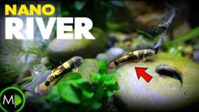 AMAZING FISH in Realistic River Aquarium | MD Fish Tanks
