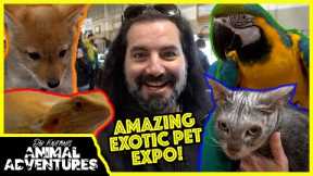 Touring the COOLEST EXOTIC PET EXPO! Parrots, Reptiles and Werewolves?!