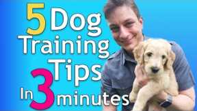5 Dog Training Tips in 3 Minutes that will Change Everything!
