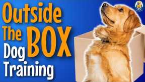 Dog Training Outside The Box: Transfer Of Value Case Study #177 #podcast