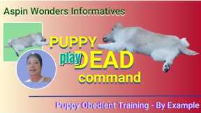 TEACH YOUR PUPPY PLAY DEAD COMMAND - BY EXAMPLE