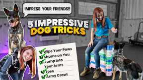 Easily Teach Your Dog Five Unique Dog Tricks!