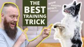 The Best Dog Training Trick You Can Teach Your Dog Right Now!