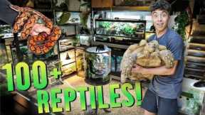COMPLETE REPTILE ROOM TOUR!! (August 2022)