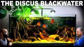 The Discus Blackwater Aquarium: EPIC 4ft Aquascape Tutorial w/ Gold Tetra & Santarem Discus