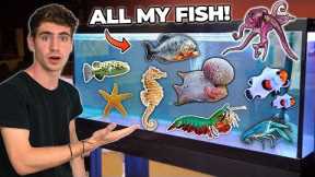 ALL MY FISH & RARE EXOTIC ANIMALS!!! (room tour)