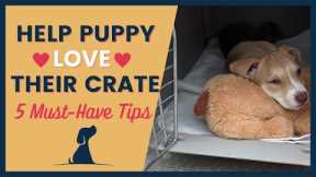 Crate Training Helping Your Puppy Love Their Space 5 Must Have Tips
