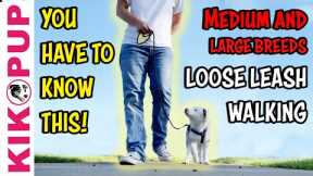 Large breed leash walking tip - Professional Dog Training
