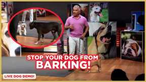 How to Stop Your Dog From Barking w/ Cesar Millan! (Dog Nation Shorts)